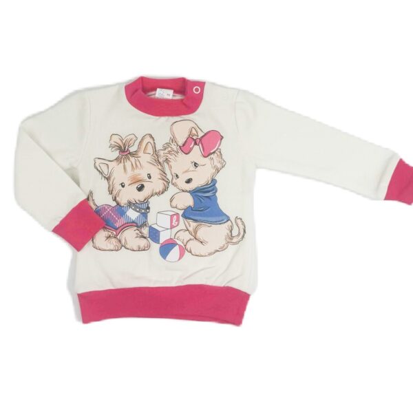 SVETLI Игриви кутрета