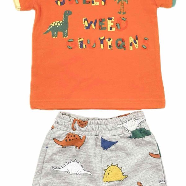 Летен комплект за бебе с палма