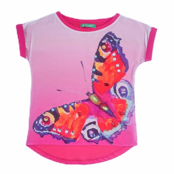 CICHLID Красива пеперуда