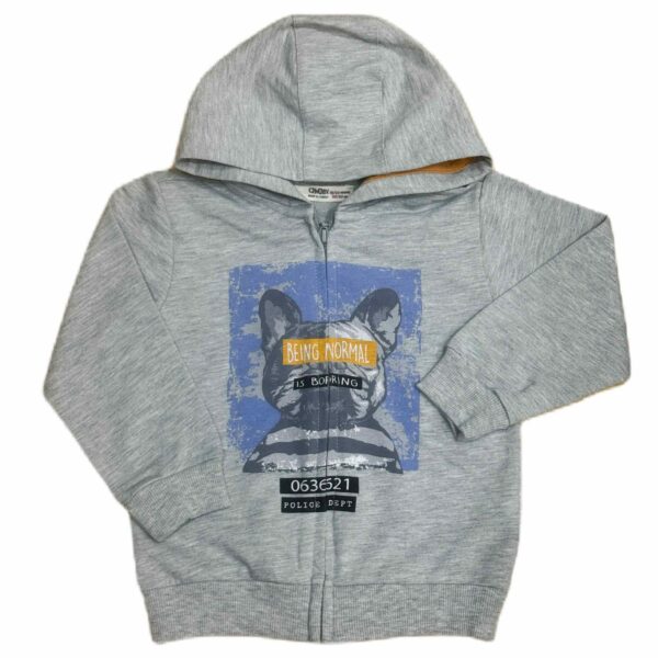 Детски суитшърт за момче с цип и качулка