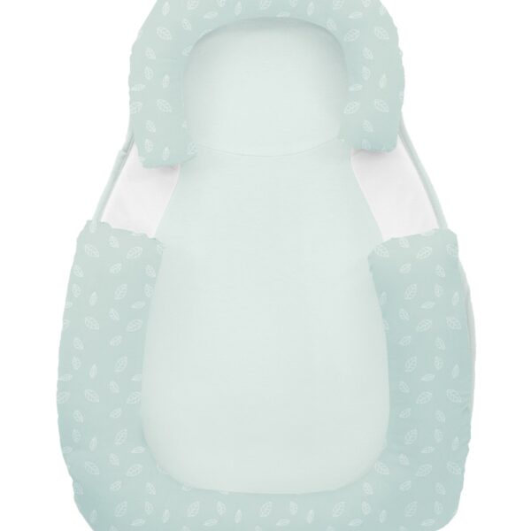 Мемори позиционер срещу преобръщане Leaves Mintin stock