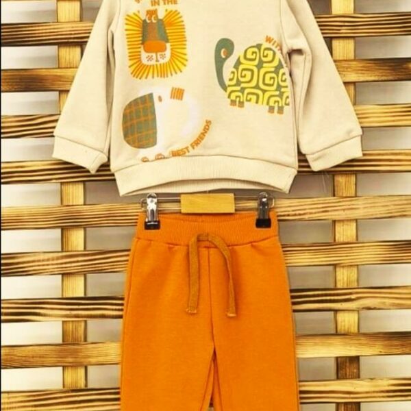 Комплект с лъв